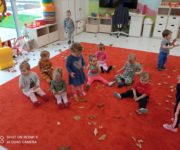 IMG_20211006_091453