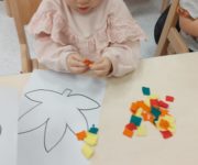 IMG-20211021-WA0028